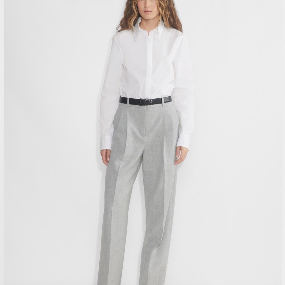 Aritzia Light Gray Pleated Pants